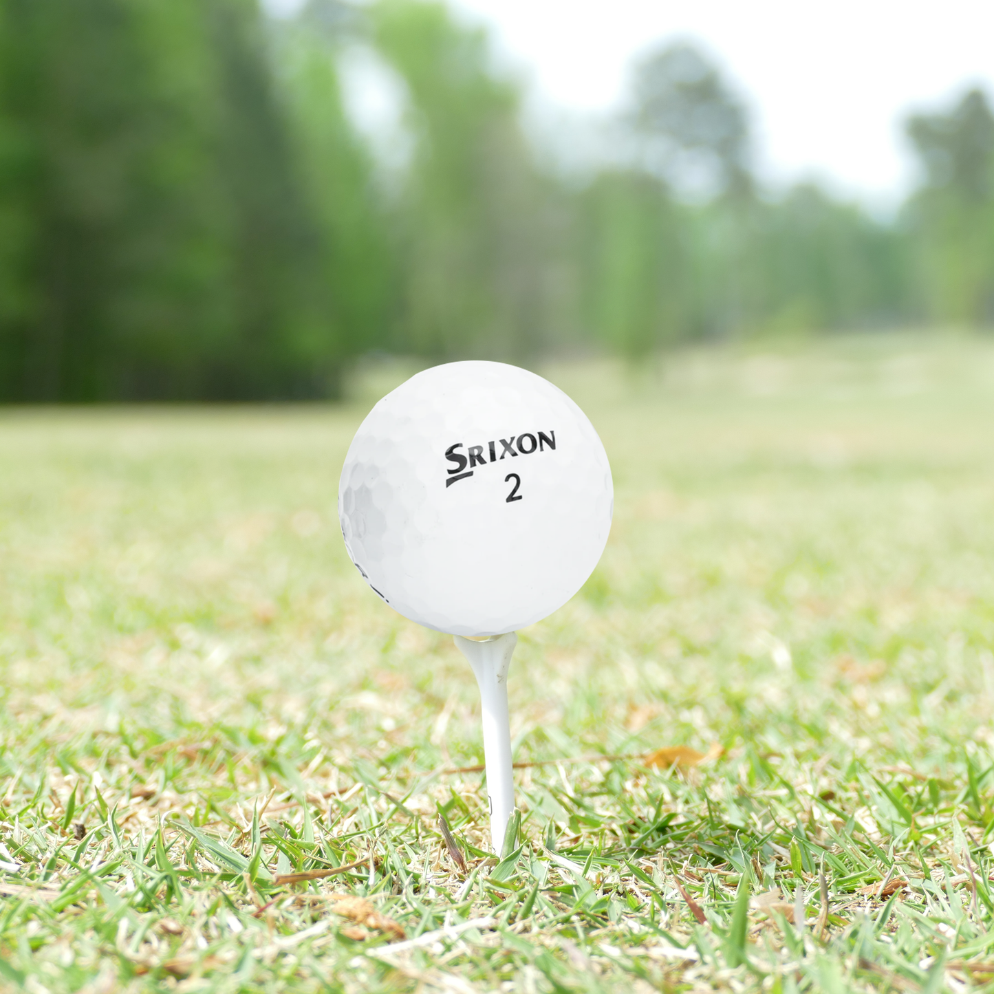 Used Srixon Z-Star Golf Balls - 1 Dozen