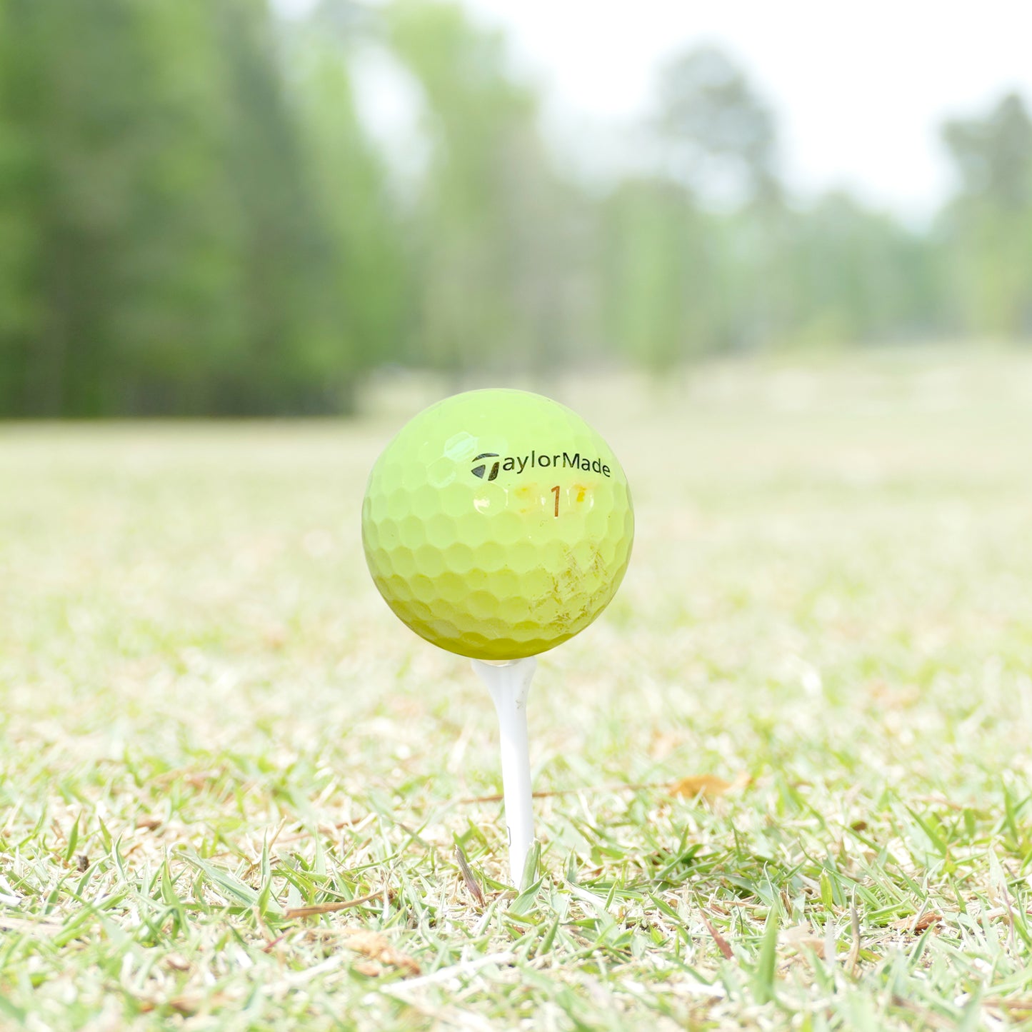 GolfBall Nut - 48 Used Golf Balls – Recycled Bulk Colored Mix for Practice & Play – Good Condition – Includes Mesh Bag – Budget-Friendly & Sustainable Golf Balls