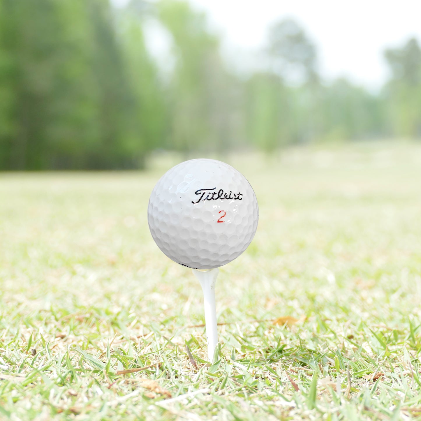 GolfBall Nut - 48 Used Golf Balls – Recycled Premium Brands Assorted Mix for Practice & Play – Good Condition – Includes Mesh Bag – Budget-Friendly & Sustainable Golf Balls