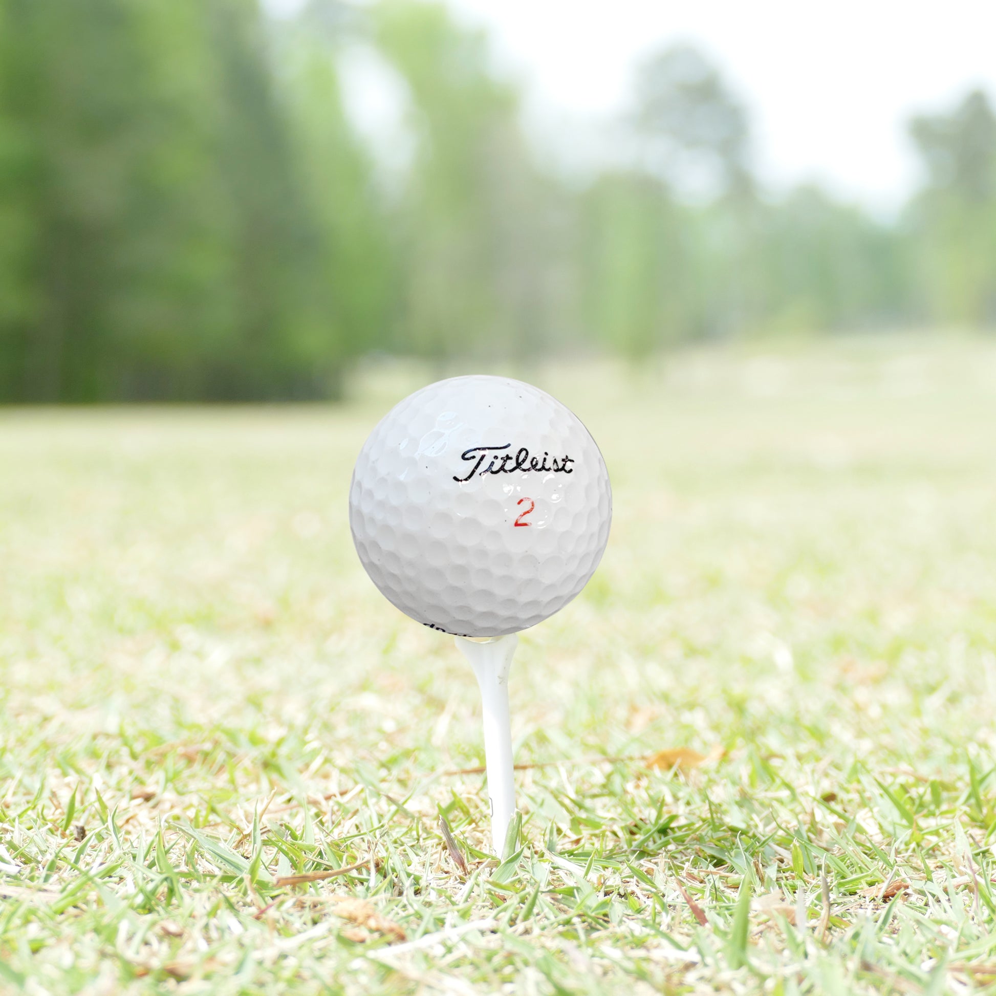 Golf Balls – Recycled Premium Brands Assorted Mix for Practice & Play – Good Condition – Includes Mesh Bag – Budget-Friendly & Sustainable Golf Balls - practice golf balls by GolfBallNut