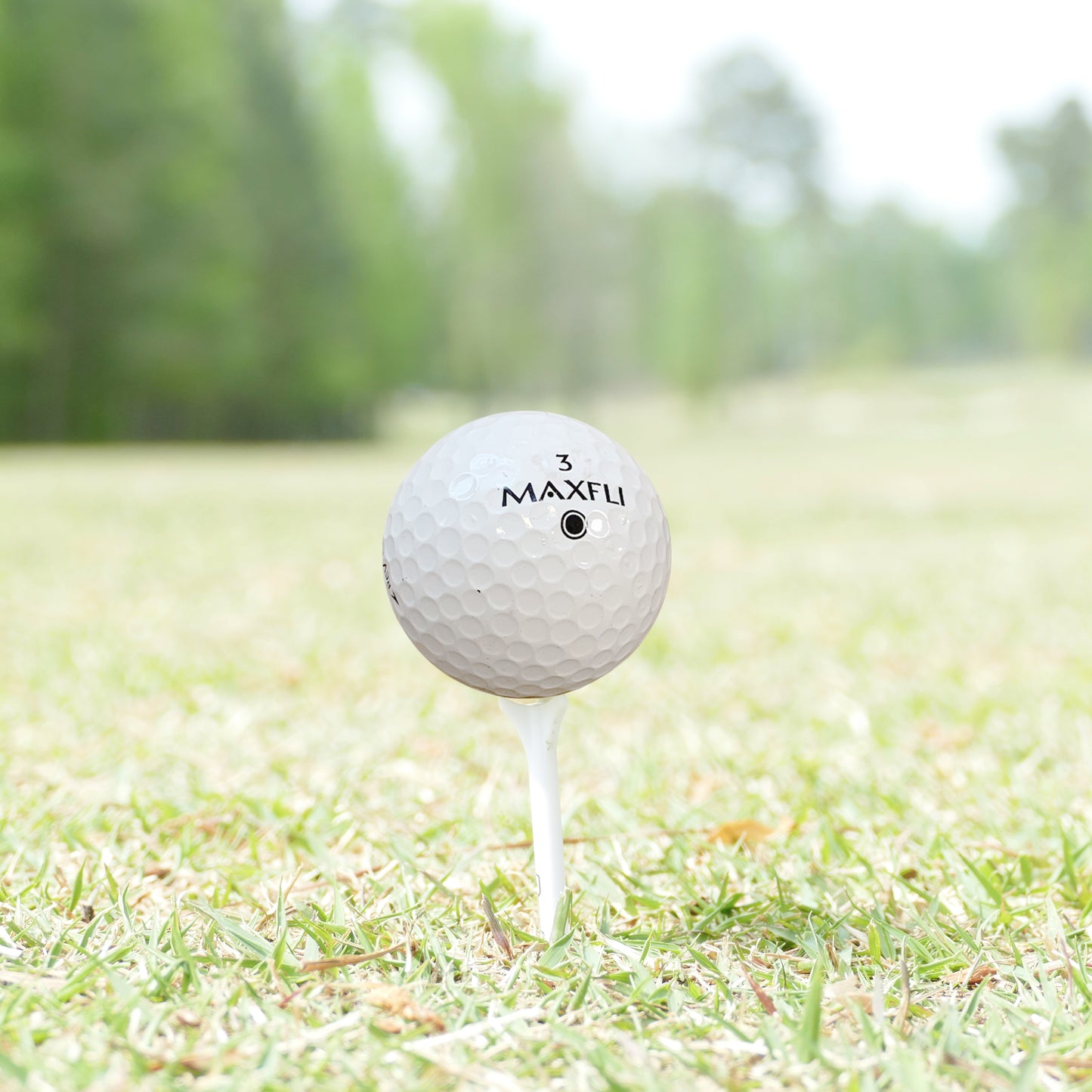 GolfBall Nut - 48 Used Golf Balls – Recycled Store Line Assorted Mix for Practice & Play – Good Condition – Includes Mesh Bag – Budget-Friendly & Sustainable Golf Balls