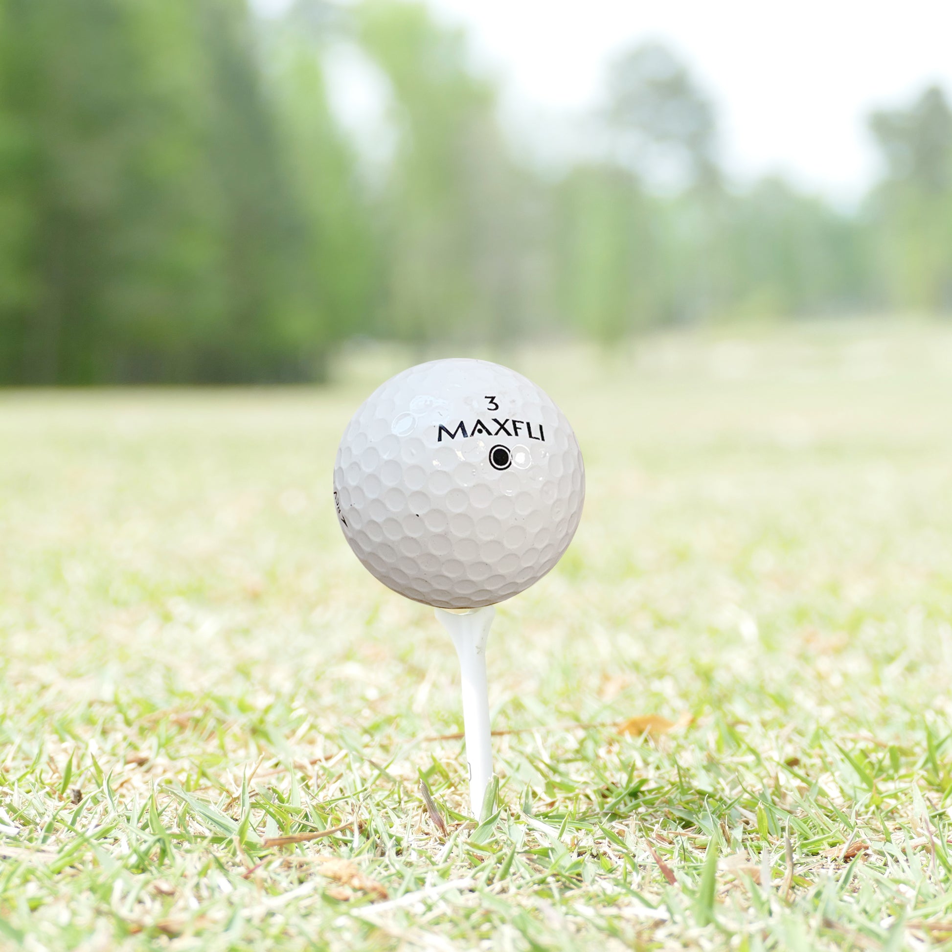 Golf Balls – Recycled Store Line Assorted Mix for Practice & Play – Good Condition – Includes Mesh Bag – Budget-Friendly & Sustainable Golf Balls - practice golf balls by GolfBallNut
