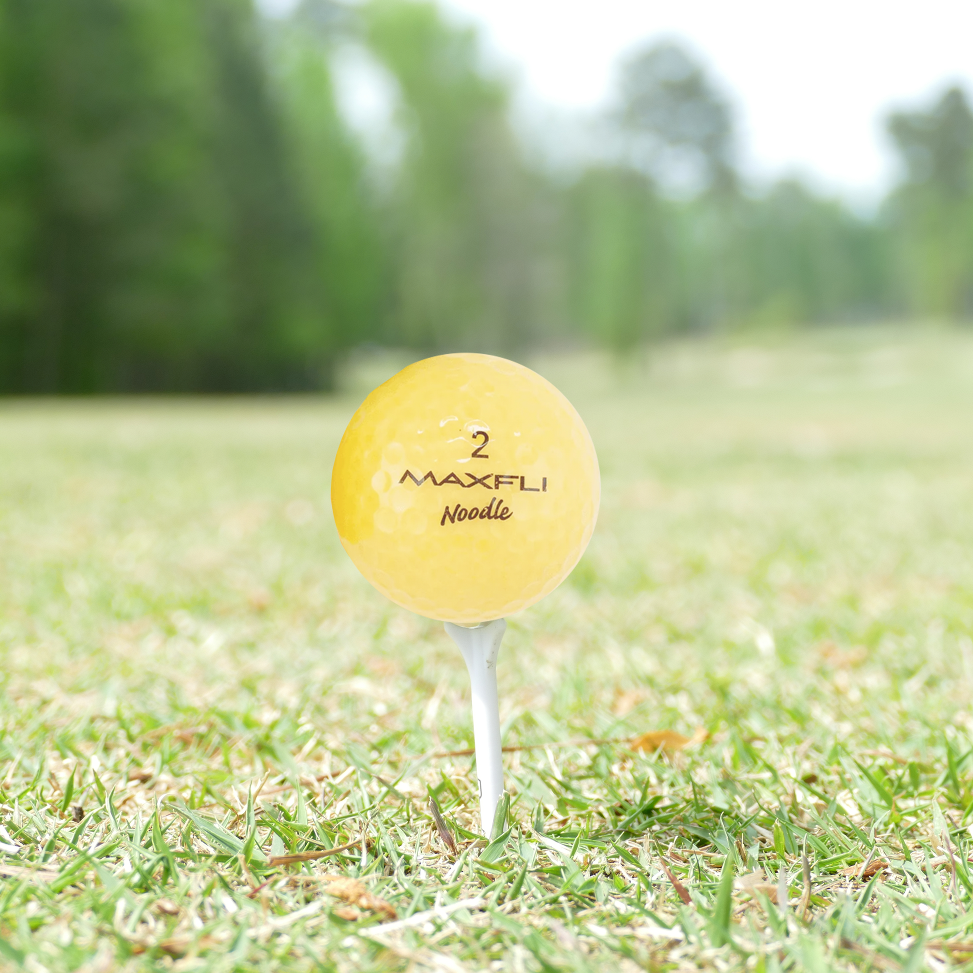 Maxfli Noodle Ice Color Mix Golf Balls - golf gifts for men by Maxfli