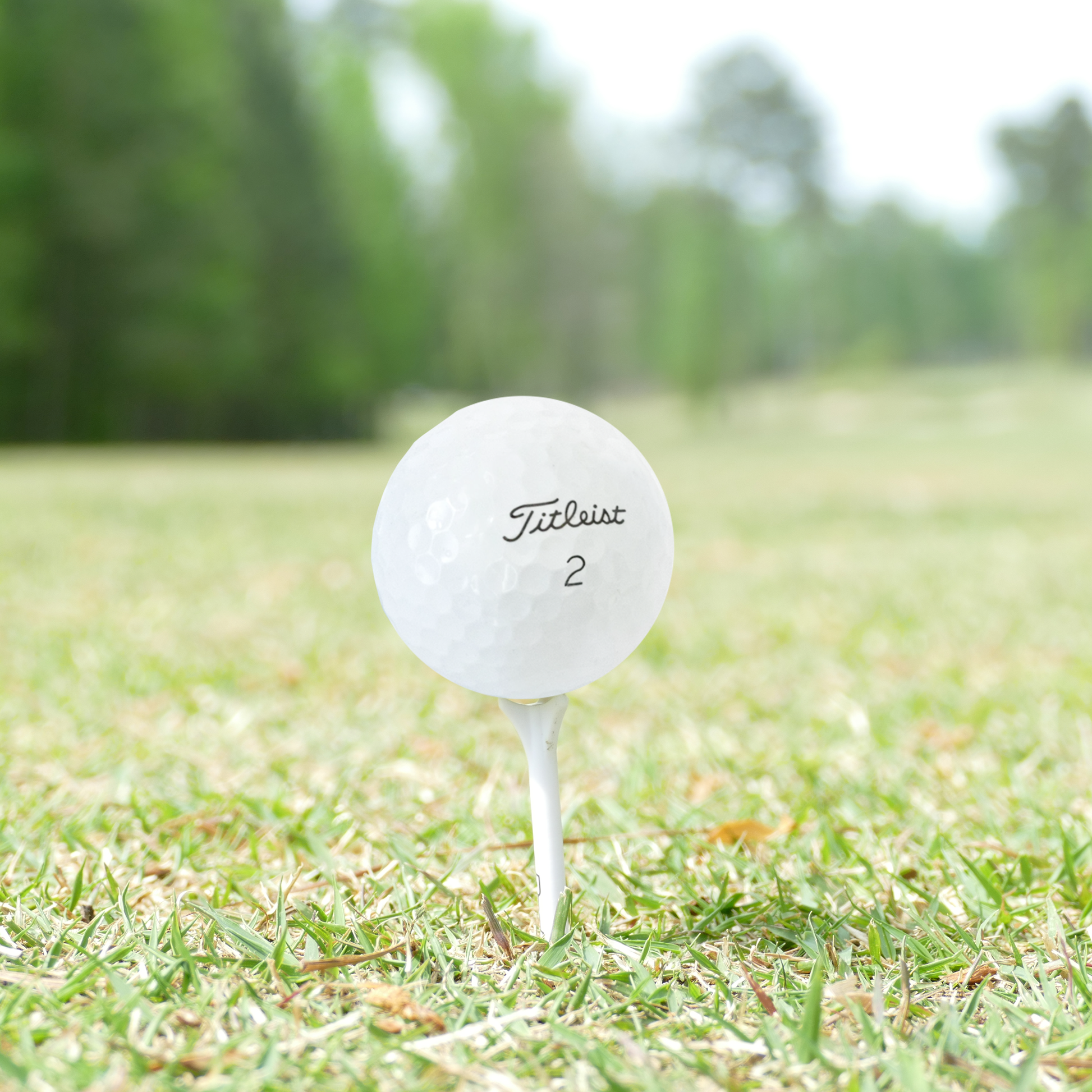 Titleist 2025 Pro V1 Golf Balls - practice golf balls by Titleist