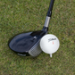 Titleist Mix Golf Balls - practice golf balls by Titleist