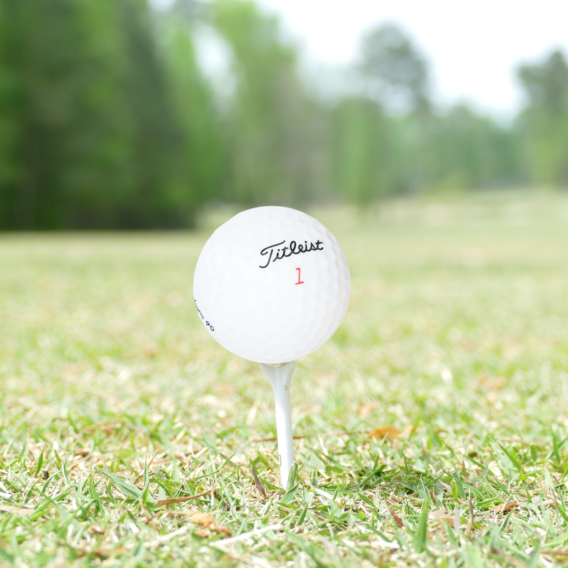 Titleist Mix Golf Balls - golf gifts for men by Titleist