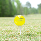 Titleist Pro V1 Yellow Mix Golf Balls - practice golf balls by Titleist