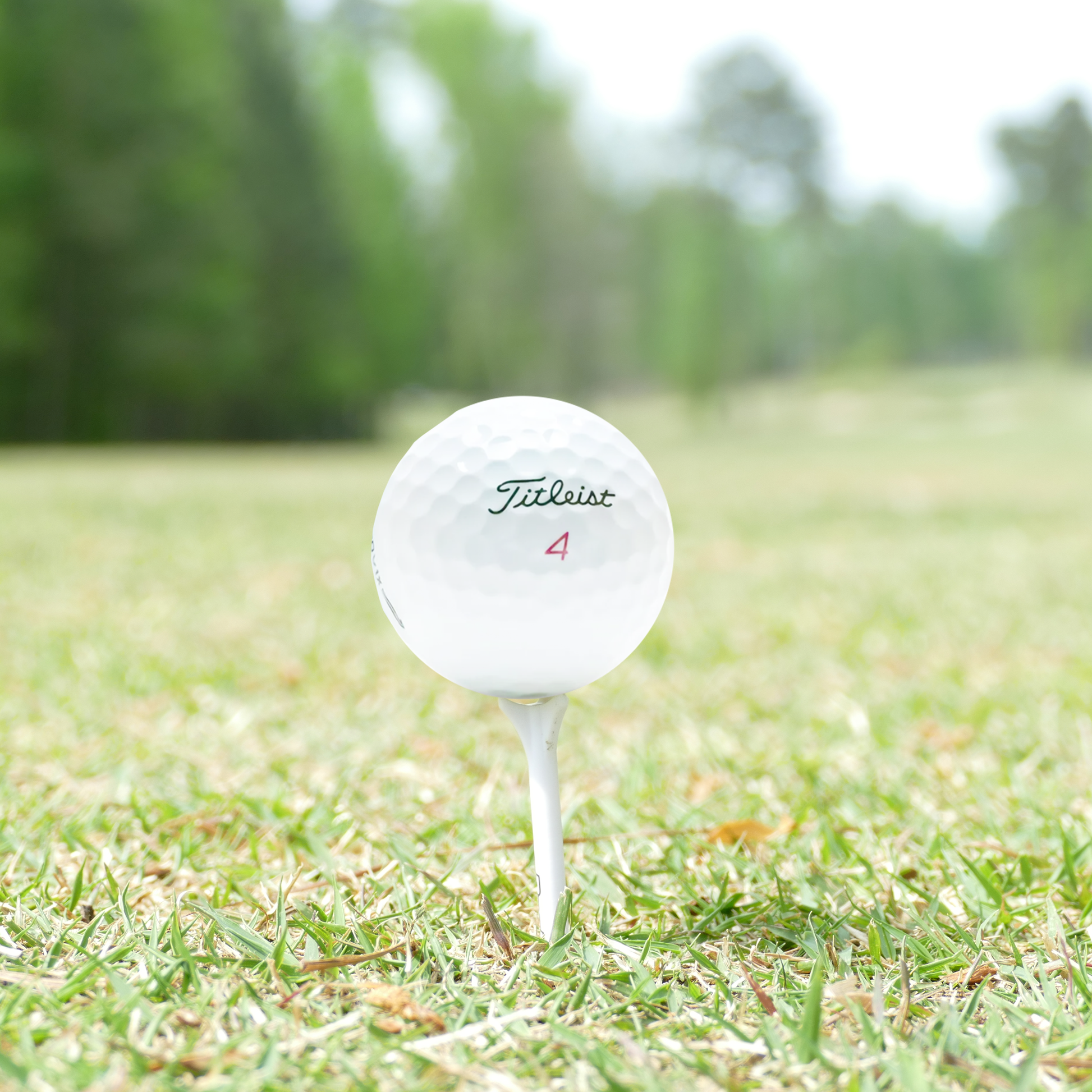 Titleist 2021 Pro V1x Golf Balls - practice golf balls by Titleist