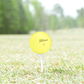Titleist Pro V1x Yellow Mix Golf Balls - practice golf balls by Titleist