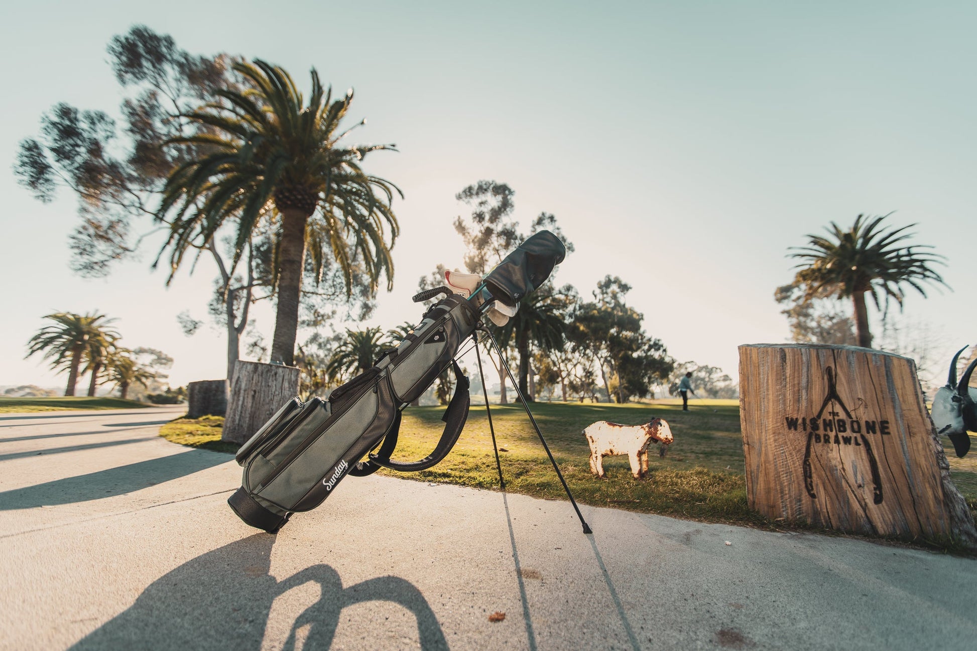  - bulk golf balls by Sunday Golf